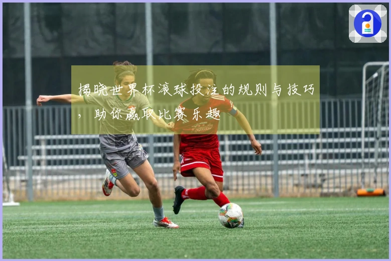 揭晓世界杯滚球投注的规则与技巧，助你赢取比赛乐趣