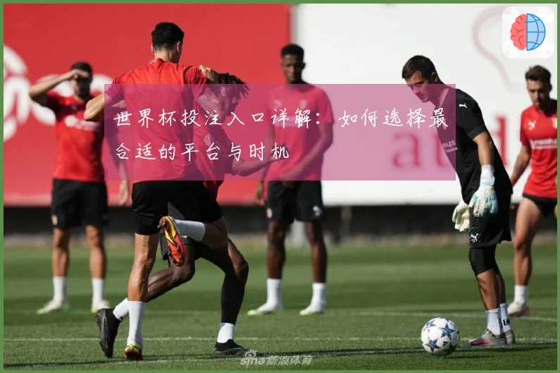 世界杯投注入口详解：如何选择最合适的平台与时机