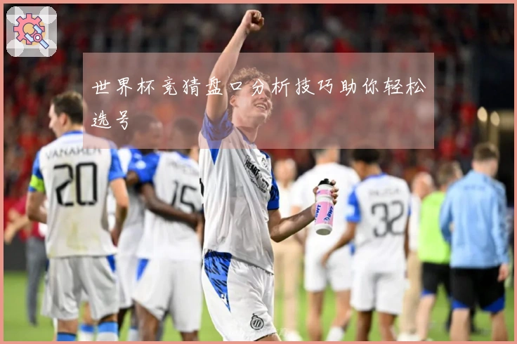 世界杯竞猜盘口分析技巧助你轻松选号
