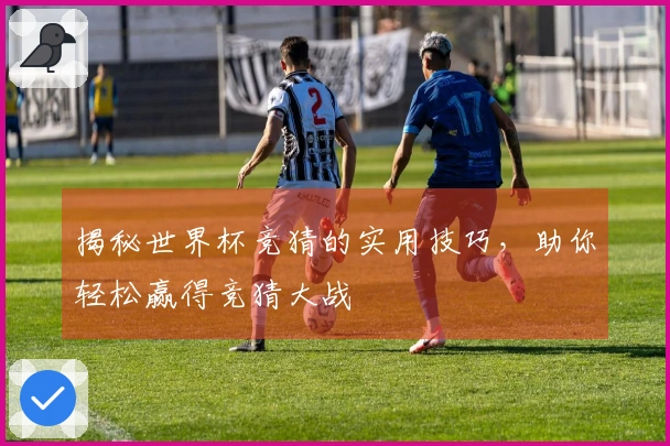 揭秘世界杯竞猜的实用技巧，助你轻松赢得竞猜大战