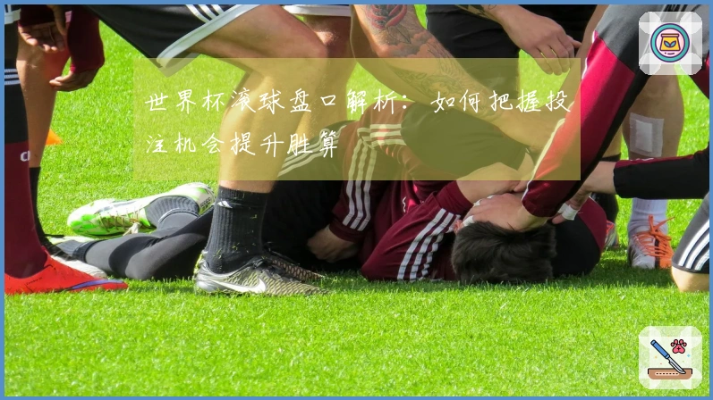 世界杯滚球盘口解析：如何把握投注机会提升胜算