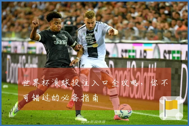 世界杯滚球投注入口全攻略，你不可错过的必备指南