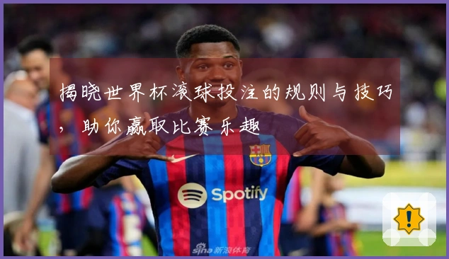 揭晓世界杯滚球投注的规则与技巧，助你赢取比赛乐趣