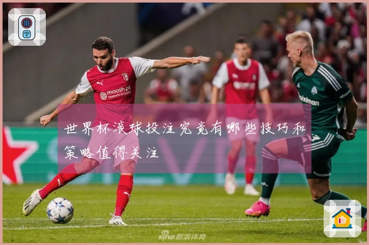世界杯滚球投注究竟有哪些技巧和策略值得关注