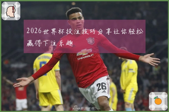 2026世界杯投注技巧分享让你轻松赢得下注乐趣