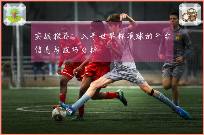 实战推荐：入手世界杯滚球的平台信息与技巧分析